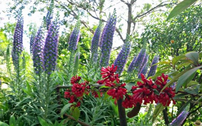 Jardin Botanique et Exotique Val Rahmeh 