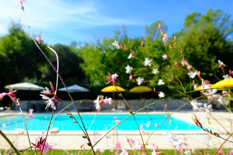 Heerlijk royaal zwembad