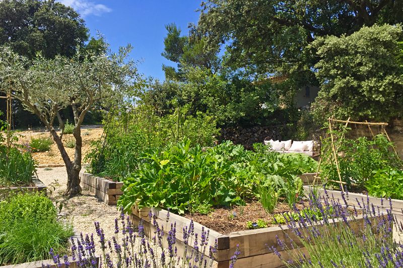 Kitchen garden