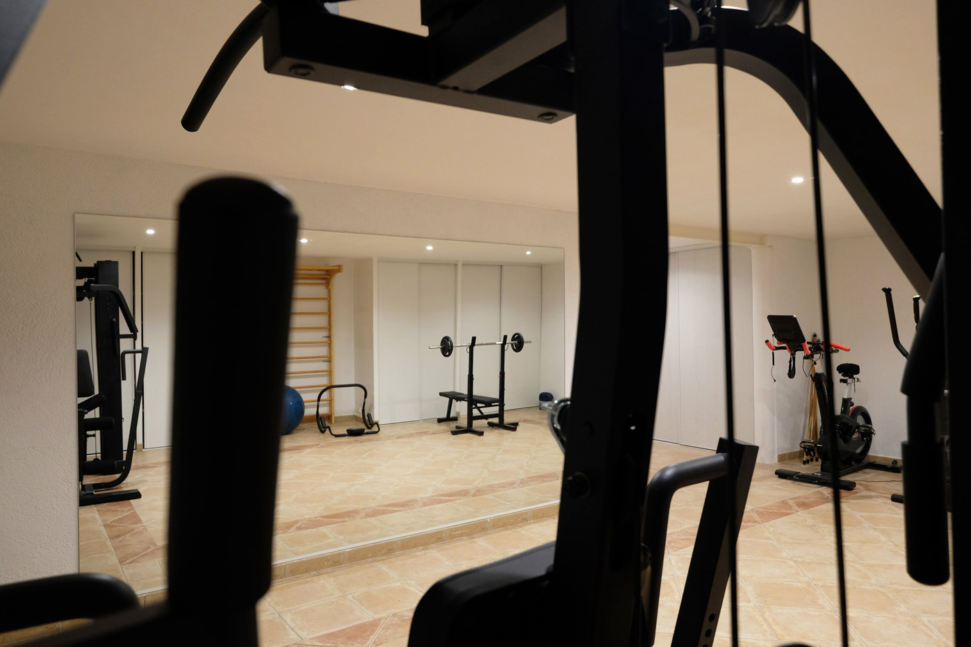 The gym