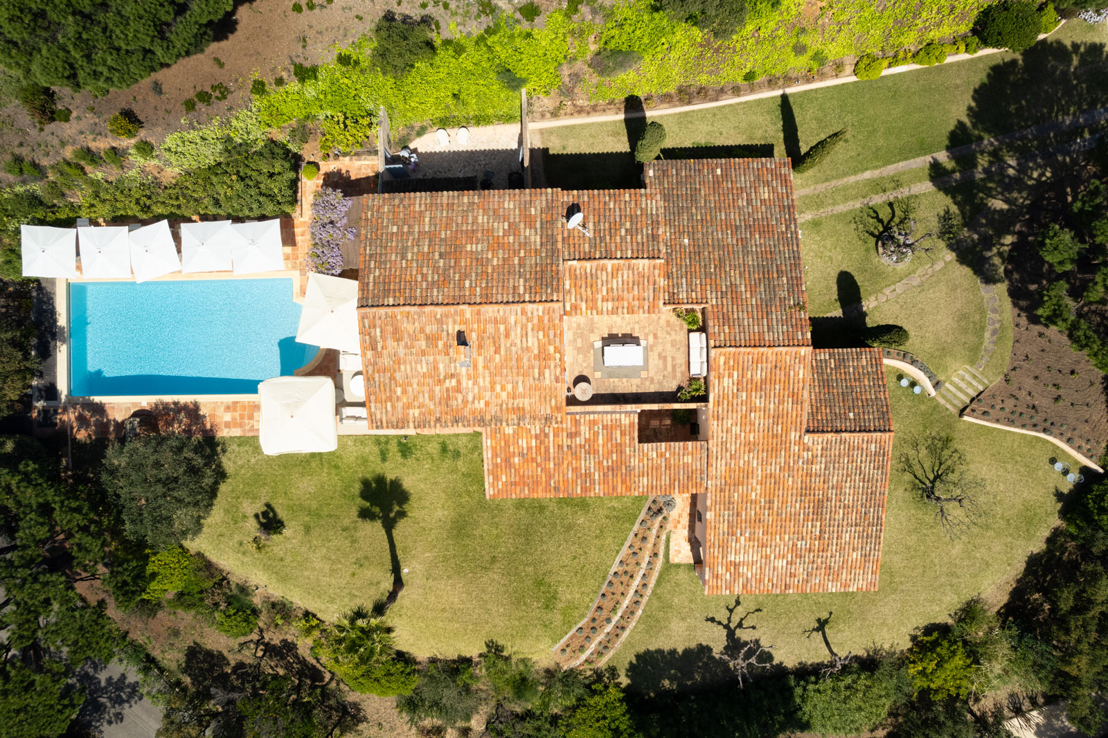 6000 m2 perceel 
