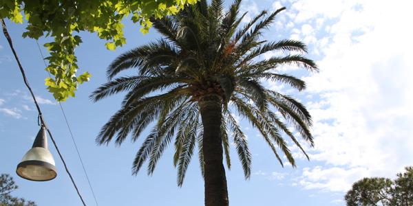 Sainte-Maxime, de ideale bestemming voor een familievakantie!